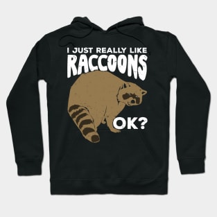 I Just Really Like Raccoons Ok Hoodie